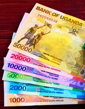 Uganda Shilling SET of 88,000 in NEW UGANDA Money - UNC 2024 UGX Currency