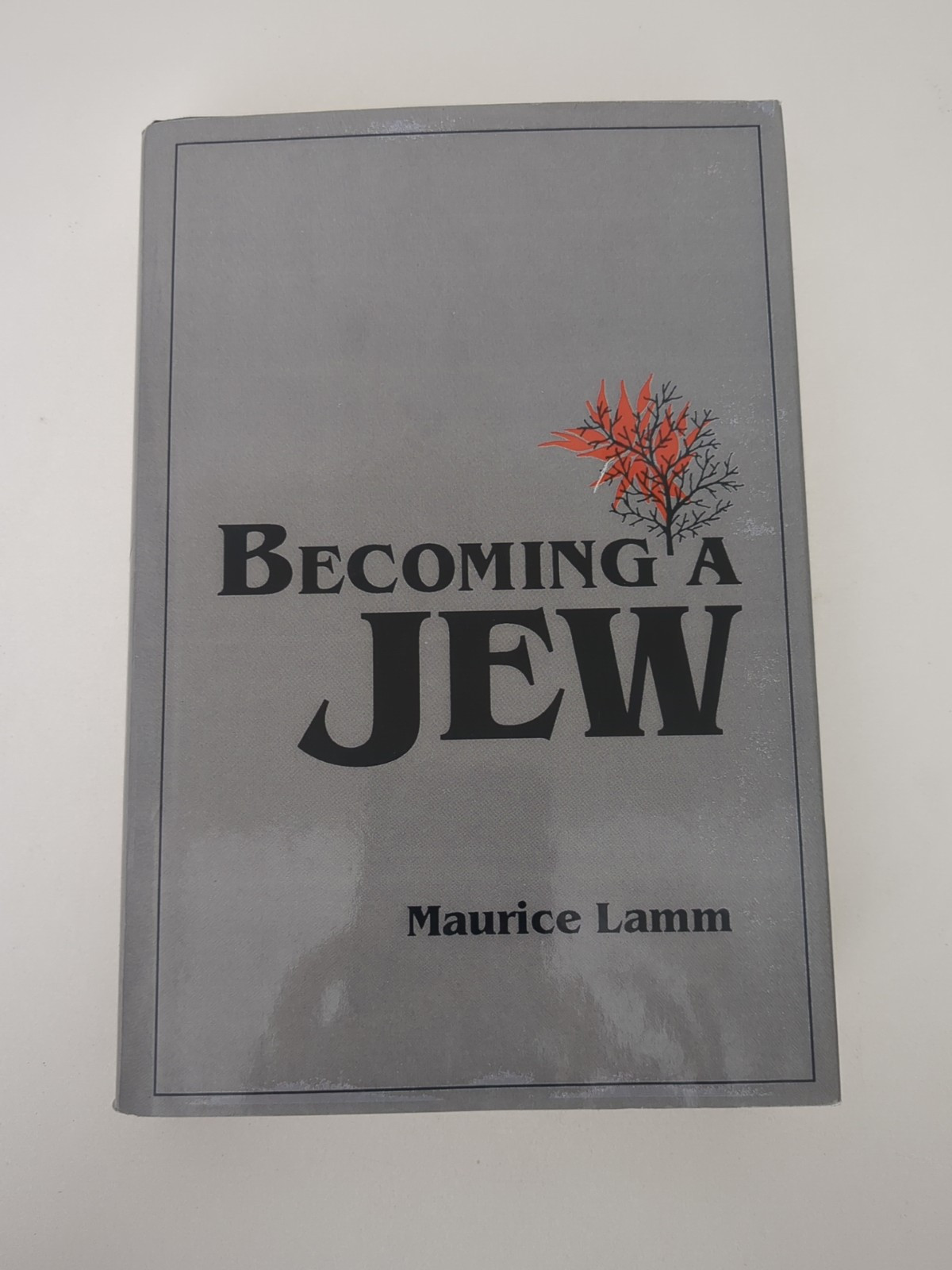 Becoming a Jew by Maurice Lamm (1991, Hardcover)