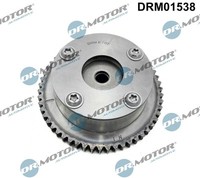 Dr.Motor Automotive DRM01538 Nockenwellenversteller FüR Hyundai KIA