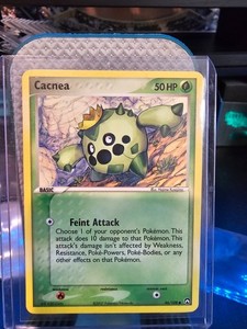 Cacnea 46/108 Power Keepers Regular