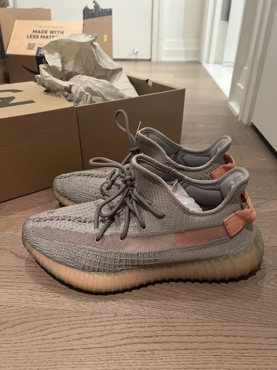 Size 10 - adidas Yeezy Boost 350 V2 True Form 4060511931343| eBay