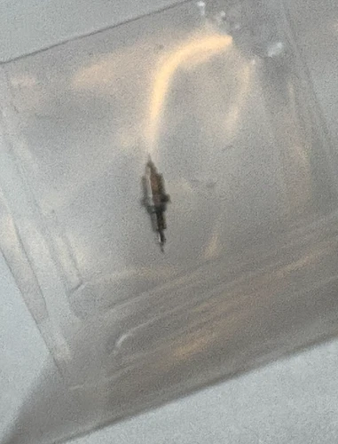 1 ELGIN 16 SIZE POCKETWATCH  BALANCE STAFF  #2532 DR NOS PIVOT 10--BB-2009