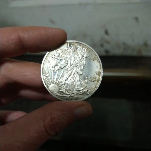 2017 U.S. American Eagle Walking Liberty 1oz Fine Silver One Dollar Coin