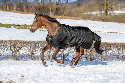 Bucas Irish Turnout 100 mit 100g Fütterung Black/Gold