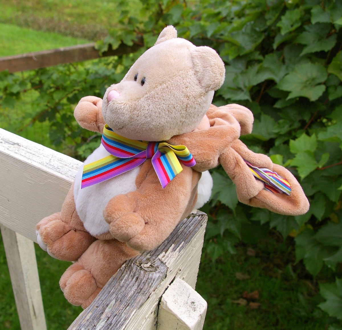Starbucks Coffee Company 2008 75th Edition Bearista Bear Bunny