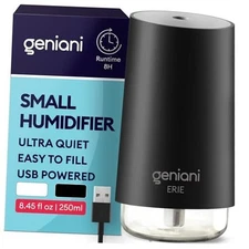 Portable Small Cool Mist Humidifier – USB Powered (Not 0.25L Black