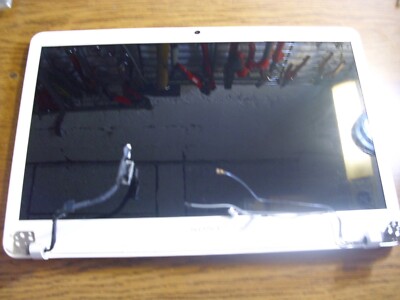 15,6''SONY PCG-7186M Display komplett