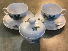 Kahla Germany 2 CUPS SAUCERS SUGAR BOWL Tea Coffee BLUE GREEN Trim 🔴❤️🟠🟥🔥