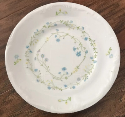 Baum Brothers Lot Of 9 Salad / Dessert Plates 7  Floral W/Zippered Storage Case