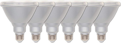 15W PAR38 LED Flood Light Bulb, 90W Equivalent, Dimmable, 6 Pack