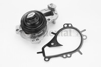 Continental Ctam WPS3135 Wasserpumpe, Motor KüHlung FüR CitroËN, Ds, Opel