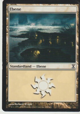 Magic the Gathering Wizards 1993-2006 Ebene Guter Zustand