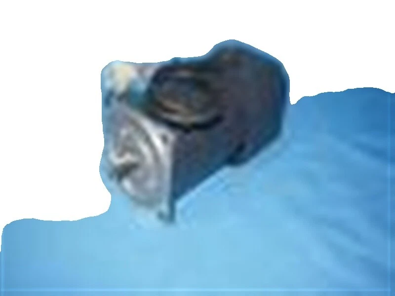 Brake Motor 200 V General Purpose Industrial Electric Motors