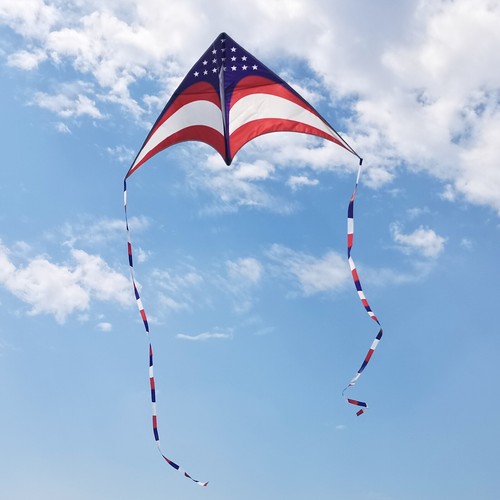 Amerikanische Flagge Delta Drachen für Kinder Erwachsene rosa Schmetterling Drachen 2er-Pack - Bild 6 von 8