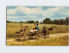 Postcard Going Home . . . A scene almost forgotten in the New South