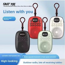Rechargeable Portable FM Radio MP3 USB Digital Music Player