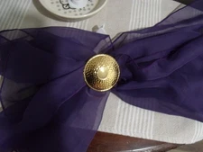 Sarah Coventry Essentials 1994 Scarf Clip Athena #1108 NWB