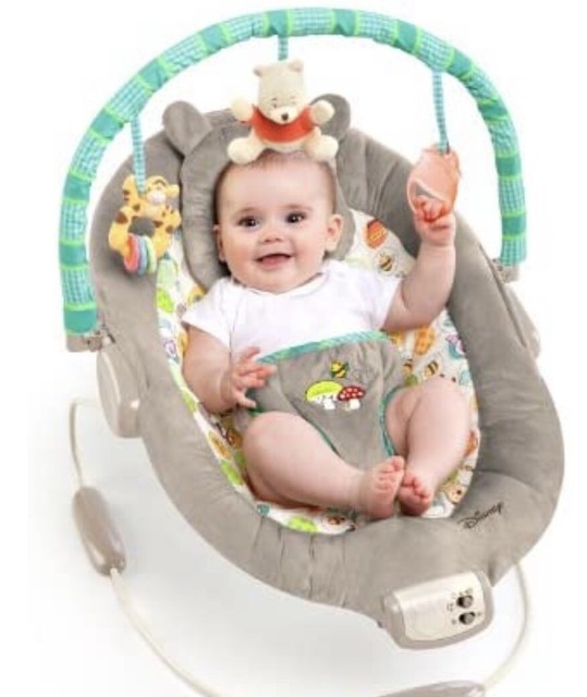 disney winnie the pooh bouncer