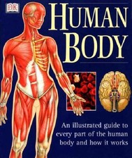 Human Body: An Illustrated Guide To Every Part Of The Human Body And How It Wor