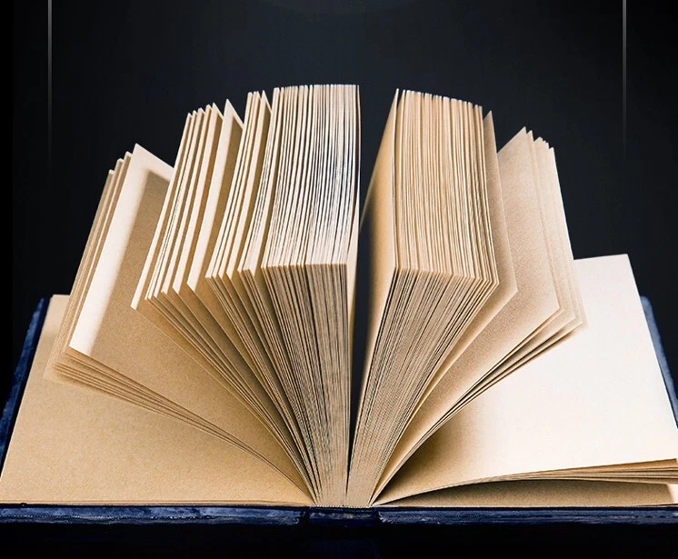 Hardcover Notebook Diablo The Fallen Angel Engraved Journal with Feather Pen/Ink - Image 2 of 4