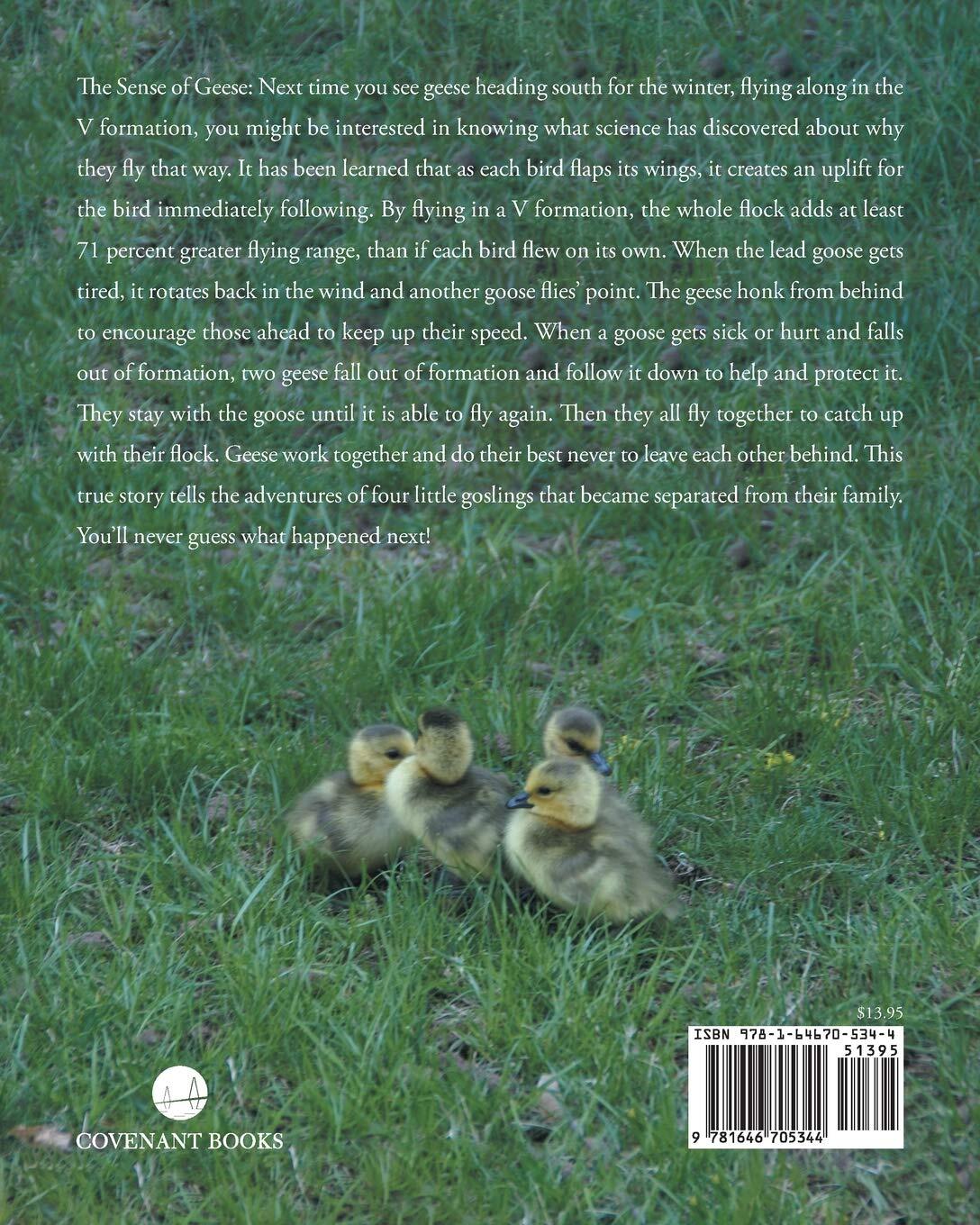 Thumbnail - Theresa Vallone The Lost Little Goslings (taschenbuch)