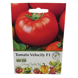 Tomato Seeds 30+ Varieties Shirley Moneymaker Roma Cherry Mountain Magic Micro - Picture 80 of 86