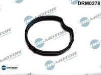Dr.Motor Automotive DRM0278 Dichtung FüR ThermostatgehäUse FüR Ford