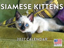 Siamese Kitten Calendar 2027 Cat Monthly Wall Calender 12 Month Made In The USA