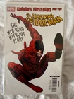 Amazing Spider-Man #566