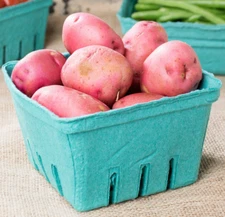 (250-Pack) Berry Basket Pulp Quart Fruit Vegetable Farm Market Produce Container