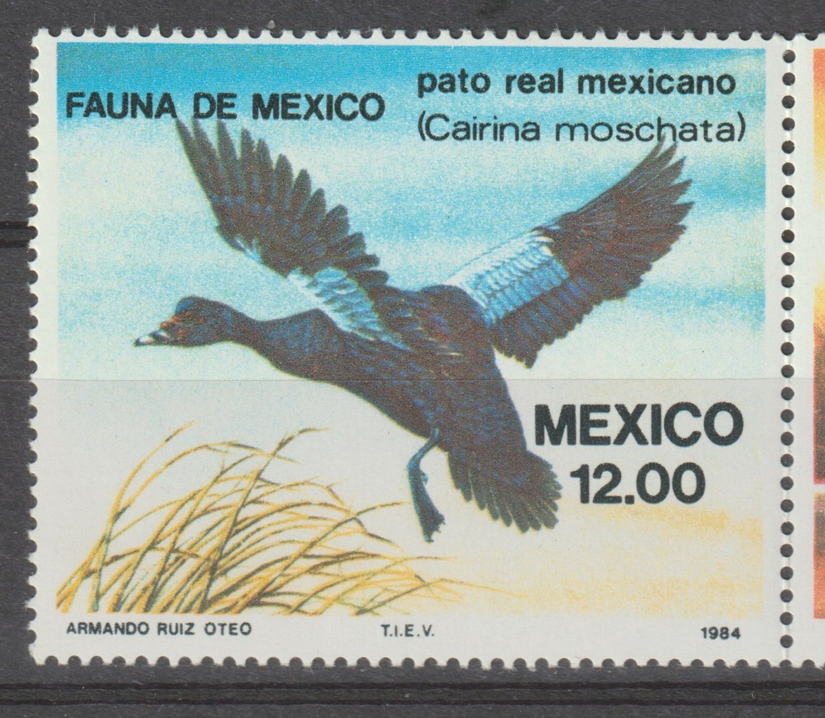 Mexico 1984 #1347a Aquatic Birds - MNH | eBay