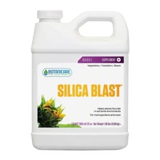 Silica Blast, Qt