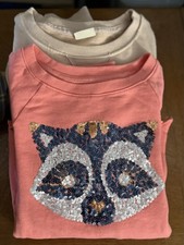 Lot of 2 Girls Sweatshirts size 12 Zara and Gap