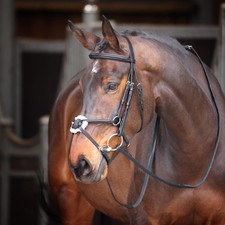 Shires Velociti Gara Mexikanische Trense - Schwarz