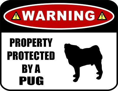 Blinking Red LED Warning Property Protected by a Pug 11.5'' x 9'' Laminated Sign