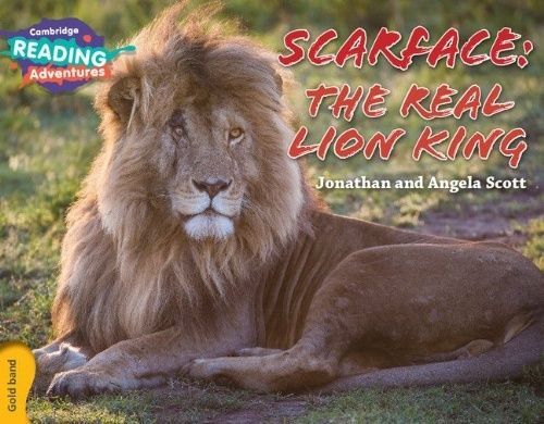 Cambridge Reading Adventures Scarface: The Real Lion King Gold Band Scott