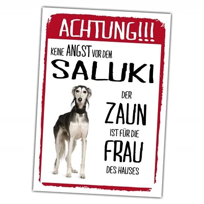 Saluki Dog Schild Achtung Zaun Frau Spruch Türschild Hundeschild Warnschild Fun - Bild 1 von 4