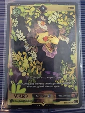 Tob 9 Non-Holo First (1st) Edition Rising Stars Card GamerSupps VCard 044/190