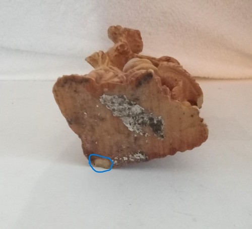 Vintage Woodpecker Bird Decoration Oriental Heavy Plastic Resin 10in PLEASE READ - Picture 8 of 10