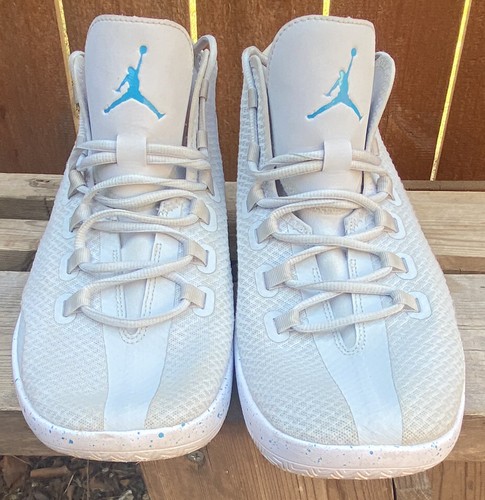 Nike Air Jordan Reveal Platinum Gray 