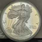 1996 P PROOF SILVER EAGLE  BLAST WHITE COIN no box no papers