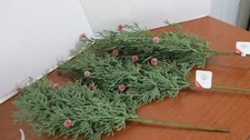 Design Set of 3 PINE BOUGHS  BERRIES 18" Christmas FLORAL PICKS NWT
