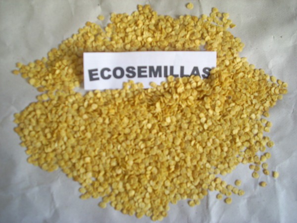 Pimiento ají ROJO GRUESO muy picante 4-5cm guindilla AJI 100 semillas ECOLÓGICAS