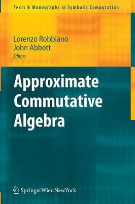 Ungefähre kommutative Algebra - 9783211993132