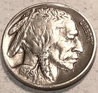 1929 P Buffalo Nickel CHOICE BU DETAILS NO RESERVE  *J1969