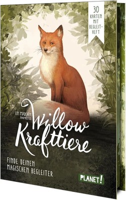 Ein Mädchen namens Willow: Krafttiere | Sabine Bohlmann | Taschenbuch | 60 S.