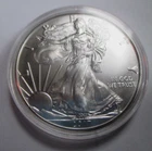 2017  American silver eagle coin 1oz .999 Fine