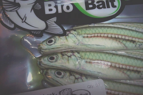 Bio Bait Anchovy Bait Fishing Lures 5" Switchback Bay Anchovy Halibut Lure 6-Pk