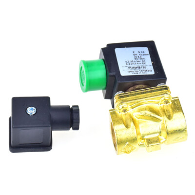 Solenoid Valve for ODE 21H8KB120 Two-position Two-way Pilot Diaphragm AC 110V