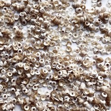 3mm Cup Sequins Beige Ombre Opaque White Duo Reversible Made in USA